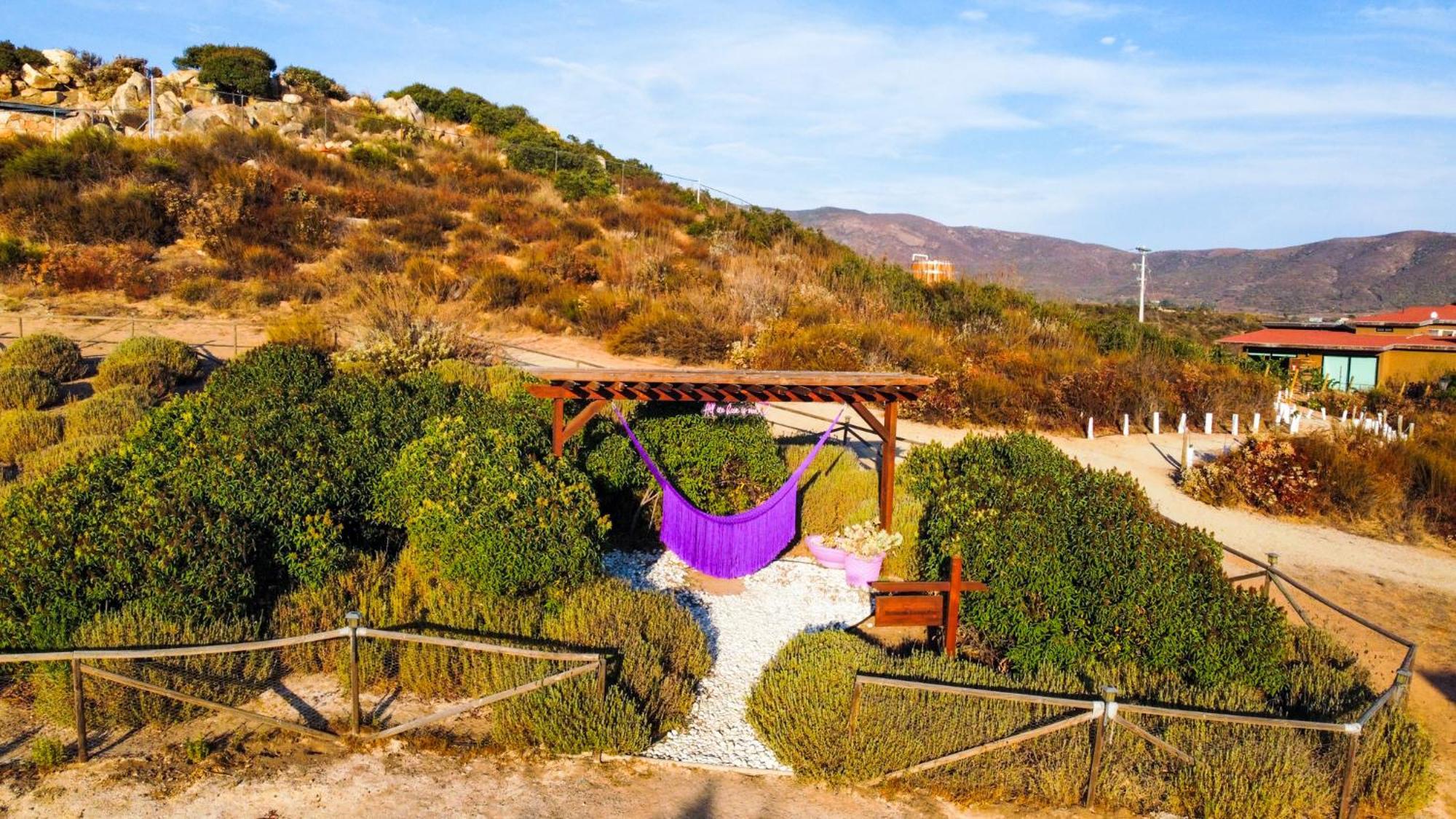 Brisa Del Valle Hotel Boutique Valle de Guadalupe Exterior photo