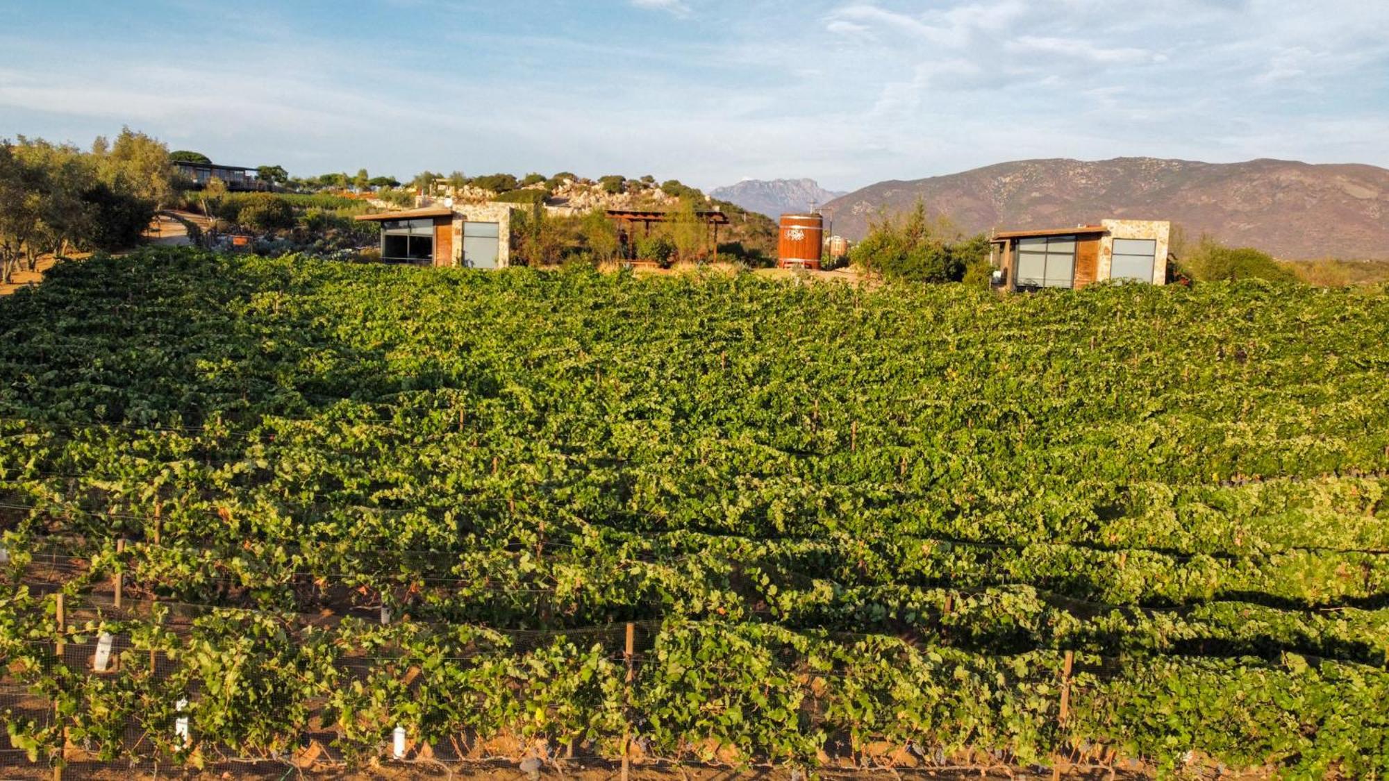 Brisa Del Valle Hotel Boutique Valle de Guadalupe Exterior photo